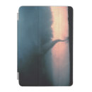 Search for storm ipad cases weather