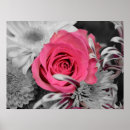 Search for beautiful roses posters Stylish