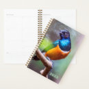 Search for watcher office supplies Bird