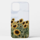 Search for sunflower photo iphone cases Sunflowers