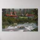 Search for shasta posters View