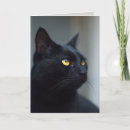 Search for pet halloween cards Feline