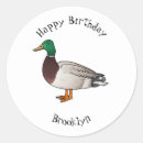 Search for wild duck stickers Bird