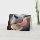 Search for cow valentines day cards Country