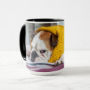Search for getty mugs Animals