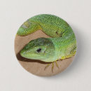 Search for wild reptile badges Animal