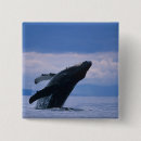 Search for alaska badges Pacific ocean