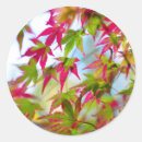 Search for abstract tree stickers Autumn