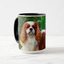 Search for blenheim mugs Pet