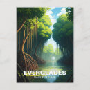 Search for florida everglades postcards Mangrove