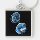 Search for marine creature key rings Beach