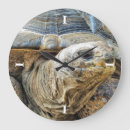 Search for tortoise clocks Cute