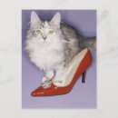 Search for attribution postcards Friendship