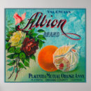 Search for crate label posters Citrus