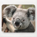 Search for cute koala mousepads Bear