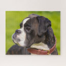 Search for boxer puzzles Puppies
