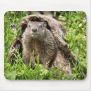 Search for logs mousepads Woodland