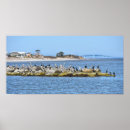 Search for dauphin posters Alabama