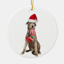 Search for irish wolfhound christmas tree decorations Santa