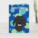 Search for pointers cards Hunting dogs