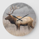 Search for deer stag clocks Wildlife