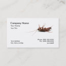 Search for dead business cards Insect