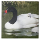 Search for parent tiles Bird