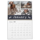 Search for charmed calendars Charming