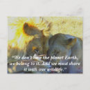 Search for feast postcards Nature