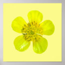 Search for transparent posters Yellow