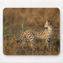 Search for game reserve mousepads Mary ann mcdonald