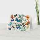 Search for illustrator note cards Butterflies