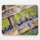 Search for springtime mousepads Meadow