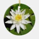 Search for lotus flower christmas tree decorations Plant