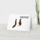 Search for meerkat cards Wildlife photography