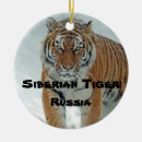 Search for siberian christmas tree decorations Endangered