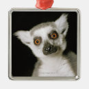 Search for lemur christmas tree decorations Animal