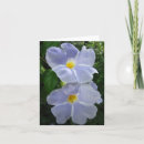 Search for flower fairies note cards Nature