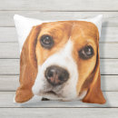 Search for beagle garden outdoor Animal