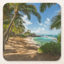 Search for hawaii coasters Vacation
