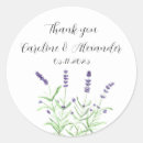 Search for lavender herb stickers Purple