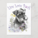 Search for schnauzers postcards Cute