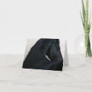 Search for friesian cards Stallion