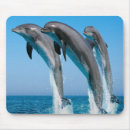 Search for mer electronics Sea