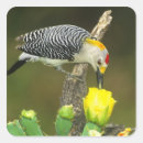Search for texas wildflower stickers Plant