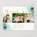Search for feather photo cards Gold