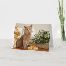 Search for cat seasonal cards Pet lover
