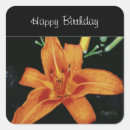 Search for tiger lily stickers Floral