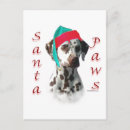 Search for dalmatian christmas cards Dog