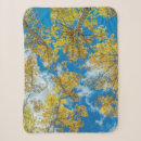 Search for danita delimont blankets Forest